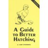 A Guide To Better Hatching